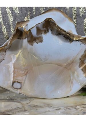 68. Large Whites gold edged clam shell (2)